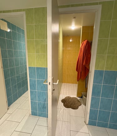 Salle bain avec carrelage vert et bleu