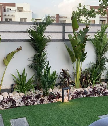 outdoor lanscaping