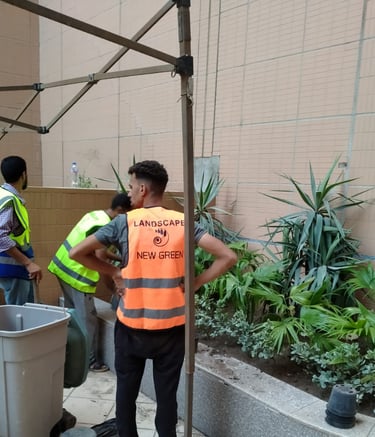newgreentouch landscaping