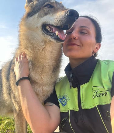 Fabrizia Ceccacci Faberdog addestramento cane grossa taglia
