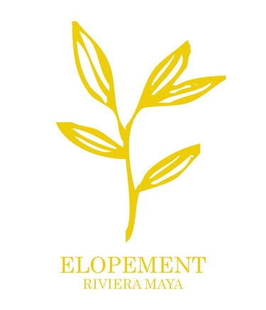 Elopement Playa del carmen and Riviera Maya