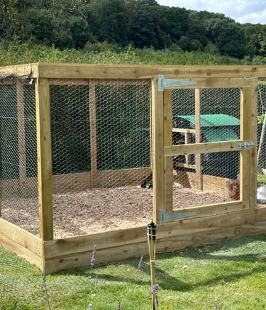 Large wooden chicken run with wire mesh and a secure gate for poultry protection in a garden.