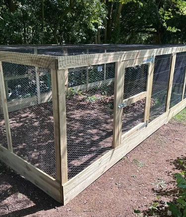 A large wooden walk-in fruit cage with chicken wire mesh and a garden door for crop protection.