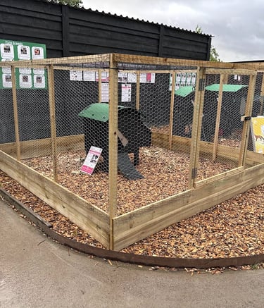 A secure wooden chicken coop with wire mesh fencing and a plastic hen house on wood chips.