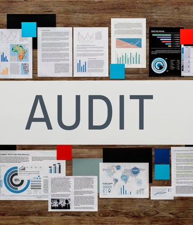 Internal Audit & Vigilance Departments written and some graphs