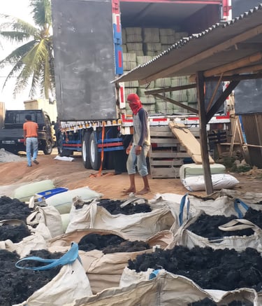 Dried Gracilaria seaweed 15% moisture and 3% impurity for agar-agar, Agriculture and Cosmetics