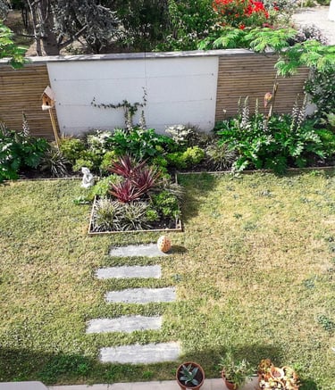 résultat d'un jardin après deux ans