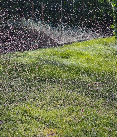 a sprinkler sprinkles in the grass