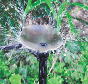 Drip-line Systems