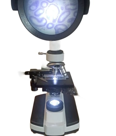 # projaction microscope