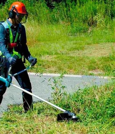 impresaMultiservizi.com - manutenzioni giardini - elettrici idraulica