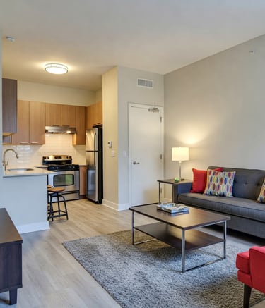 un salon avec un canapé et cuisine ouverte