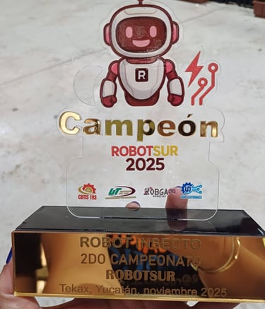 1er lugar en el Torneo Robot Sur 2025