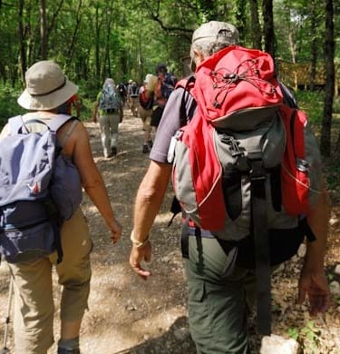 Transferts de bagages entre hébergements, idéal randonneurs.