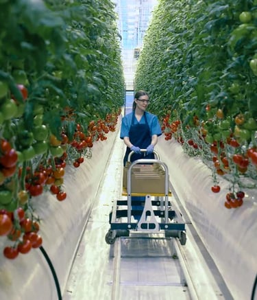 Green Agri: Promoting sustainable agriculture practices for a greener future!