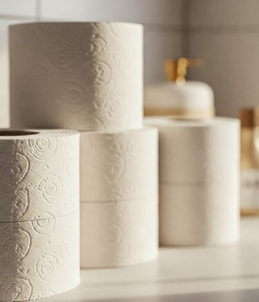  "Toilet paper rolls in washroom, symbolizing hygiene"