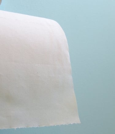 "Toilet paper roll hanging on a metal holder against a light blue wall."