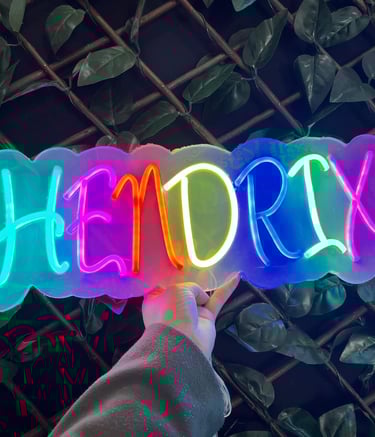 Viziona-Neones-alicante-juan pablo roa patiño