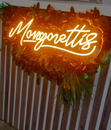 Mangonettis-Neones-Alicante-Viziona-Neones-alicante-juan pablo roa patiño