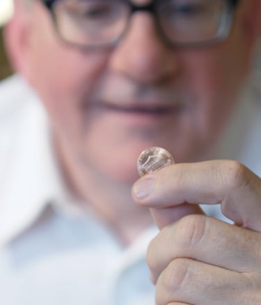 Vint Landindar, Examines Penny, The Perfect Candidate, 2019