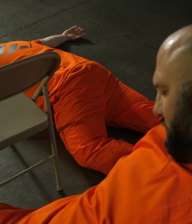 Test Subject, The Perfect Candidate, 2019