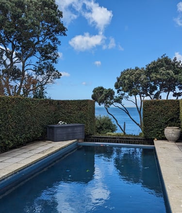 Castor bay sea view garden with pool and eugenia sharp hedge
