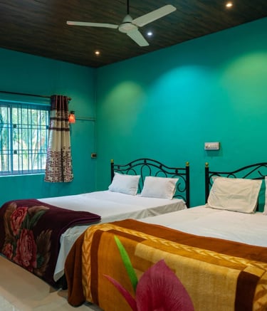dandeli packages offer rooms food and activities