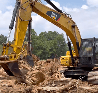 stump-dump-collection