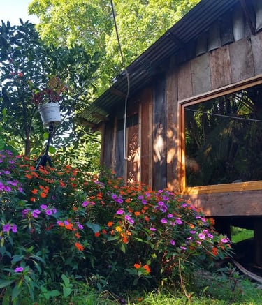 a house with a wooden frame and a window with a view of a garden