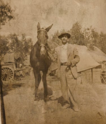 Luis Gómez Botía con su caballo Goloso en sus tierras de Guadalupe, en la huerta de Murcia