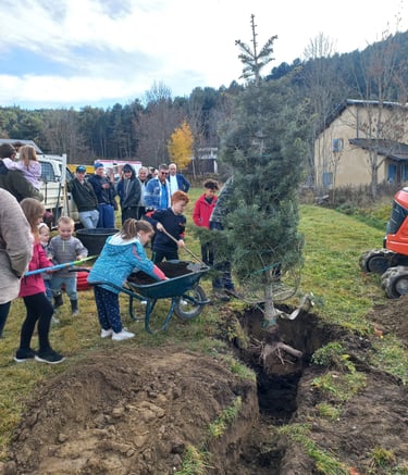 Plantation d'un arbre de Noël, Fontrabiouse 2025