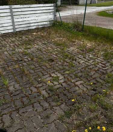 sammaldunud kivisillutis