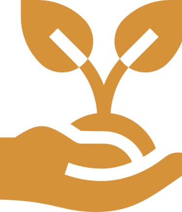 a hand holding a plant with two leaves