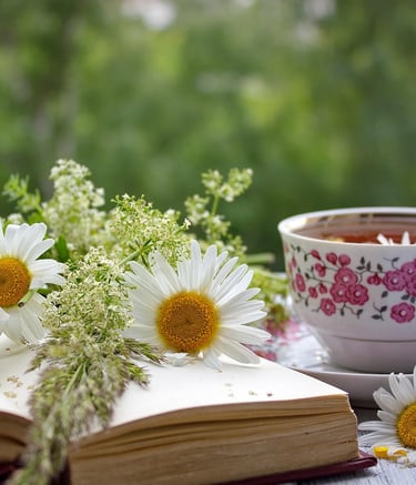 comédie contemporaine humoristique avec des amis et de la famille