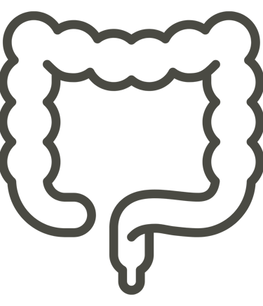 Distúrbios Gastro-intestinais