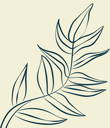 A palm tree on a light background - Our Special Universe AB