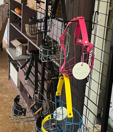 Maulkörbe in verschiedenen Farben, Maulkorb in Pink Französische Bulldogge, Hundeschule