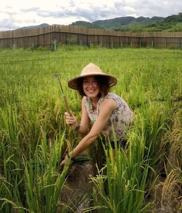 consultora principal recogiendo arroz en proyecto ecológico en Laos