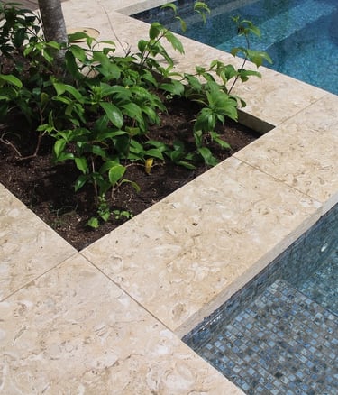 Shell stone