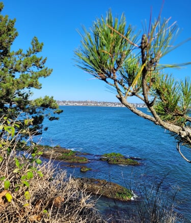 Cliff walk, Newport