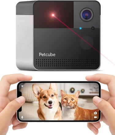 Petcube Play 2