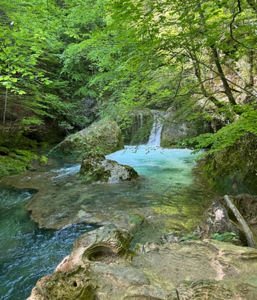 A scenic turquoise waterfall flowing into a clear forest pool surrounded by lush green trees and mossy rocks.