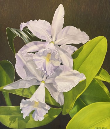 Christine Knize, Double Lavender Cattleya, 60"x72", Oil on Canvas, Miami Art Scene