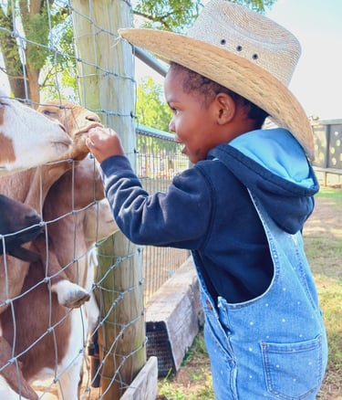 little boy in overalls and cowboy hat feeding animals at Gaver Farms