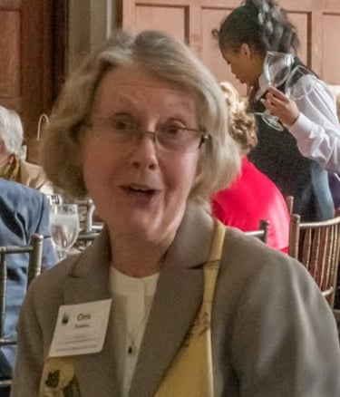 Christianne Ronneberg, 2015 Benefit