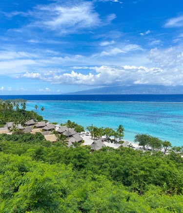 Vue sur le lagon de Moorea avec l'eau bleu turquoise et la verdure