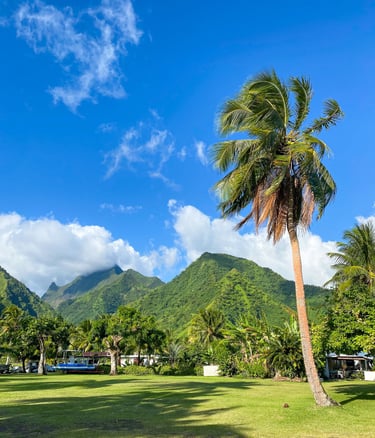 Vue sur la montagne verte et un palmier à Teahupoo à Tahiti