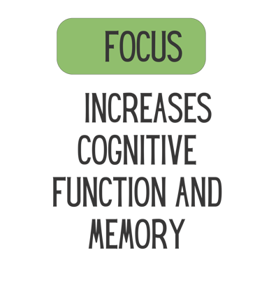 Mane Brain™ offers premium mushroom-based wellness products designed to support focus, memory,.