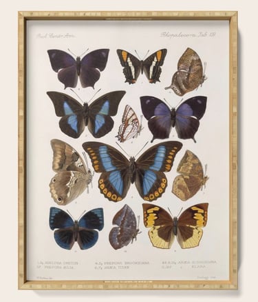 Moth wings serving tray