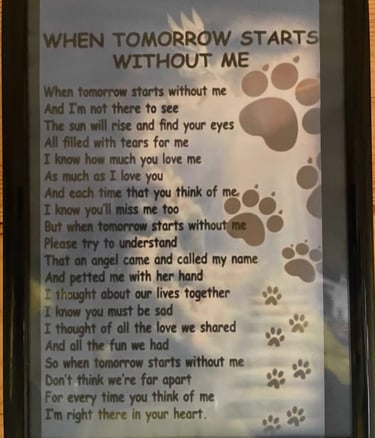 When, a poem, the loss of my dog, my friend